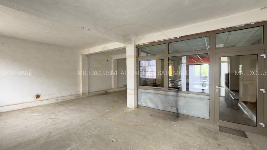 Inchiriere Cladire Productie, Depozitare, Birouri-Teren 3140 mp - Carei - 7