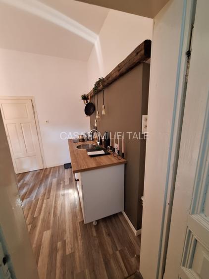 Ideal investitie..airbnb....Piata Libertatii-Piata Unirii - 5