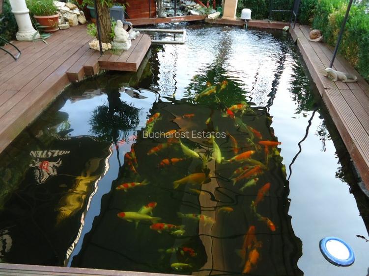 Vila piscina superba gradina matura cu iesire directa la padure - 11