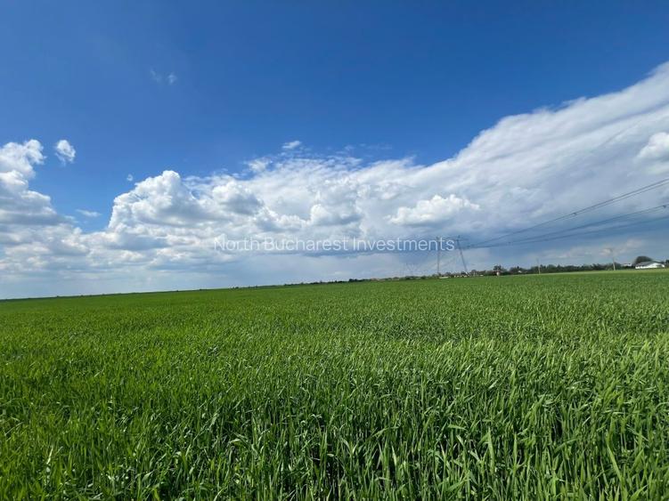 TEREN - CALARASI/ILFOV - 2