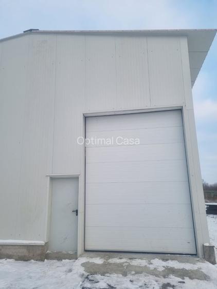 Magurele,hala 200 mp ( 10x20), inaltime h=6 m, 600 mp teren, - 5