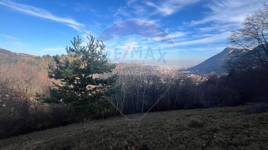 Teren Colinar Panoramic – 17.684 mp în Scheii Brașovului - 10