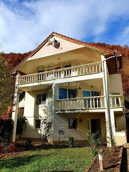 Cabana de vânzare în Valea Mănăstirii, Alba - 2