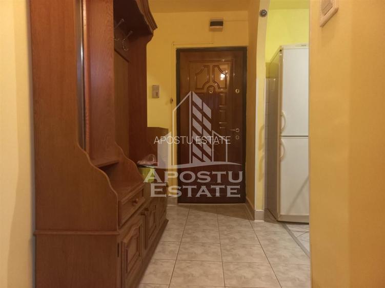 Apartament cu 2 camere semidecomandat in zona Buziasului - 11