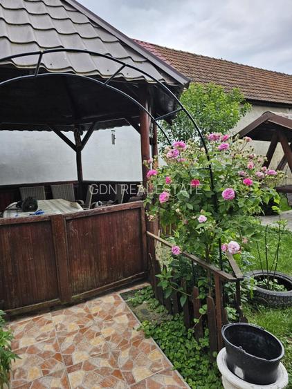 Vand casa 3 camere ARIUSD - 19