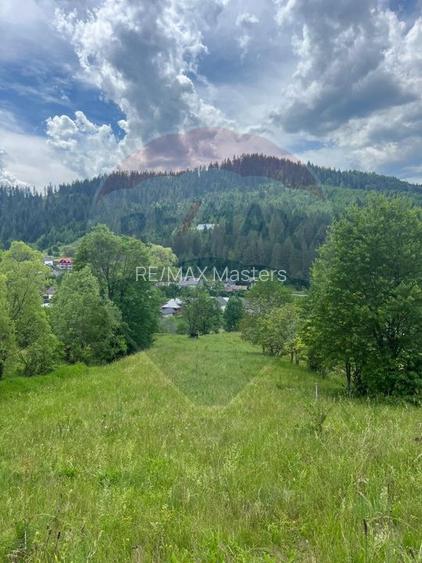 Teren 6,865mp Voroneț / Gura Humorului / Bucovina - 20