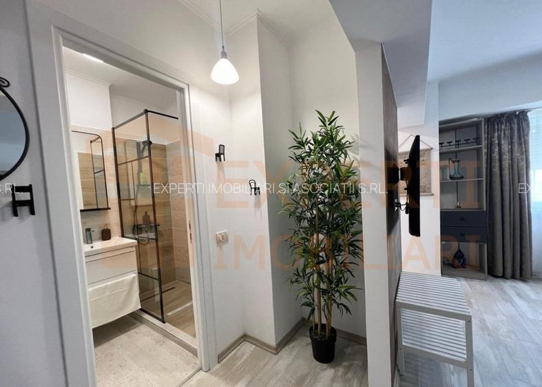 Garsoniera de inchiriat, in zona Casa de Cultura - 3