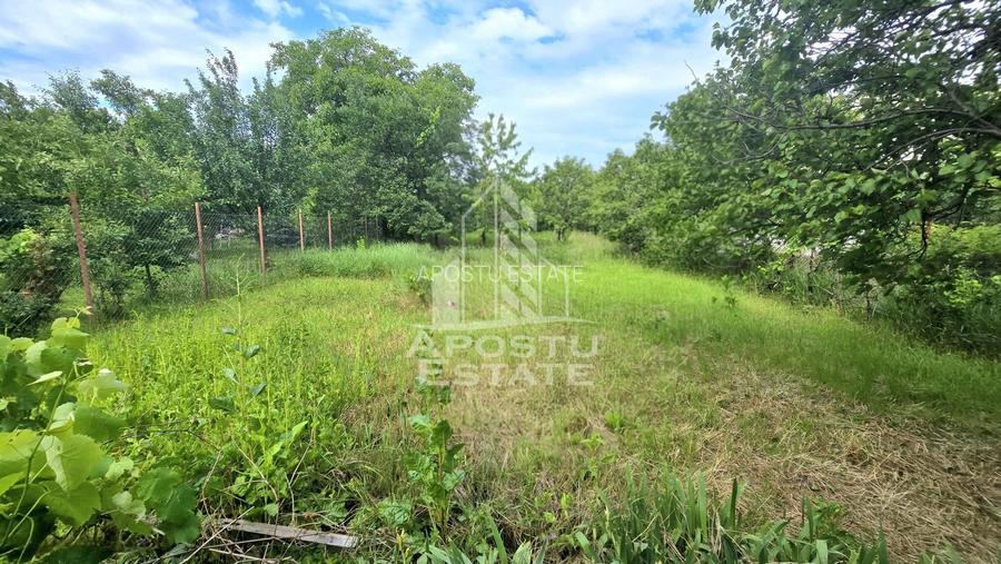 Casa individuala 3 camere, teren 678 mp Parneava - 11