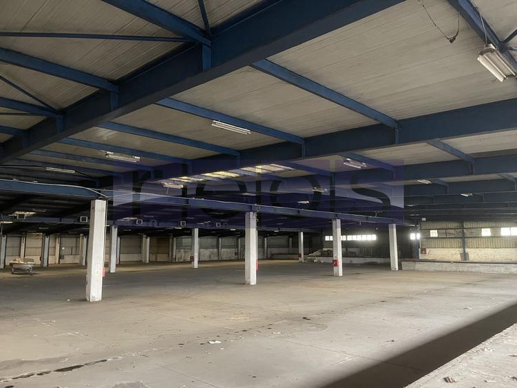 INCHIRIERE HALA | DEPOZIT - OTOPENI CENTURA  |  20.0000 MP - 22