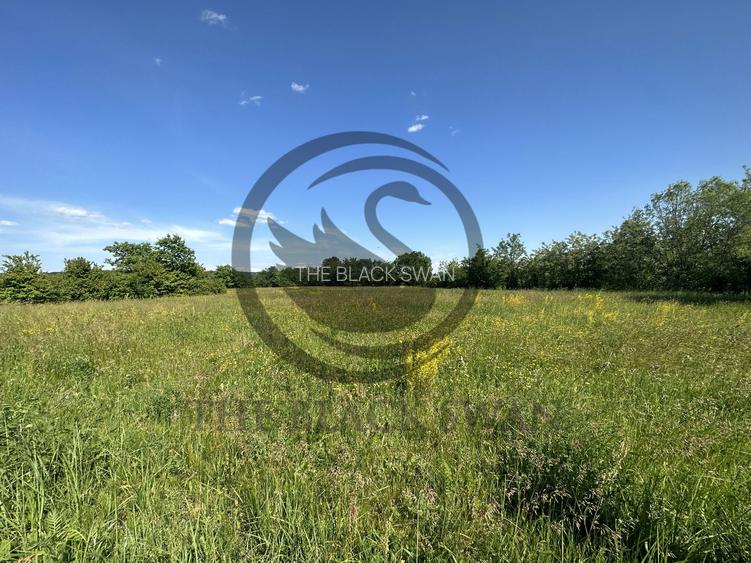 Teren Vanzare 11.000 MP Ghirdoveni | Comision 0% - 11