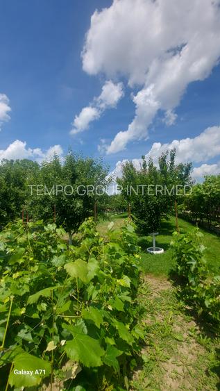 Snagov- Gruiu- Santul Floresti -Proprietate cu stil pentru oameni gospodari! - 31