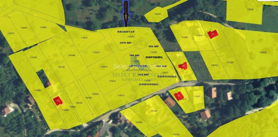 Parcele Teren cu PUZ si toate utilitatile / Cisnadioara-Sibiu - 2