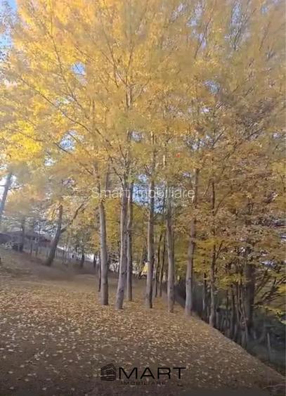 Teren intravilan Cisnadioara  - 3