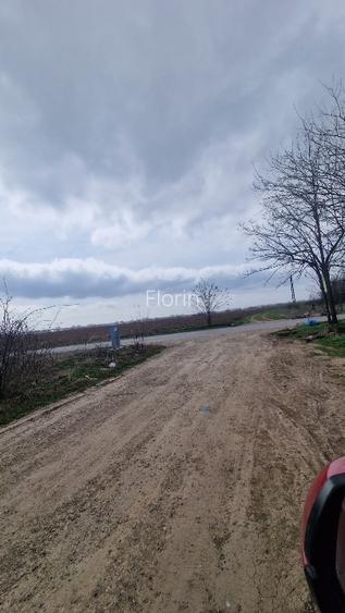 Loturi teren  construibil - 10