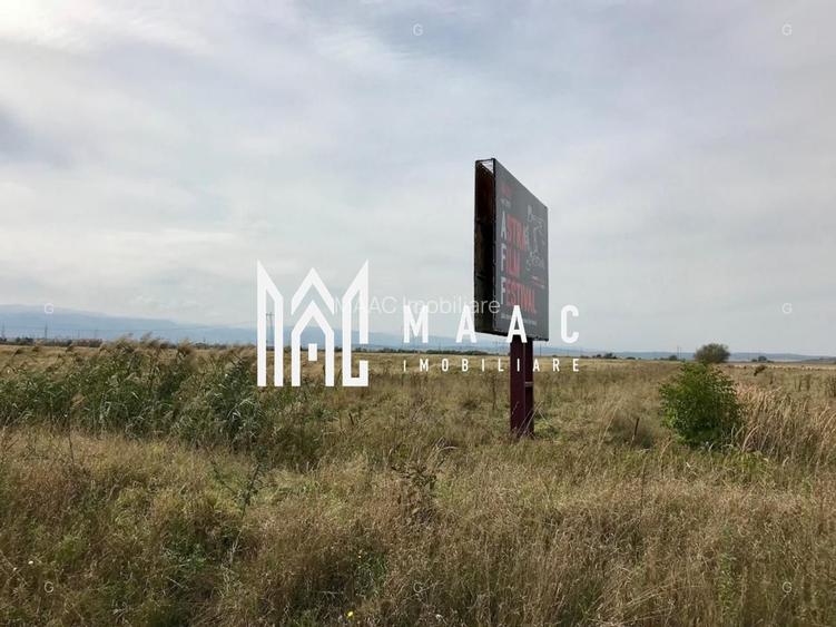 Teren industrial/ comercial I 19.100 mp I Front 53ml I DN14 - 6