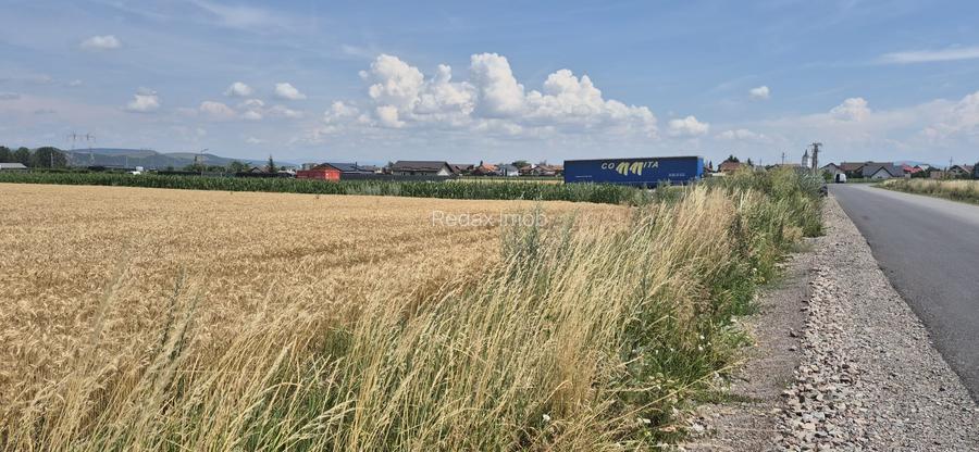 Teren  intre Sanpetru si Harman  la Drumul judetean - 2