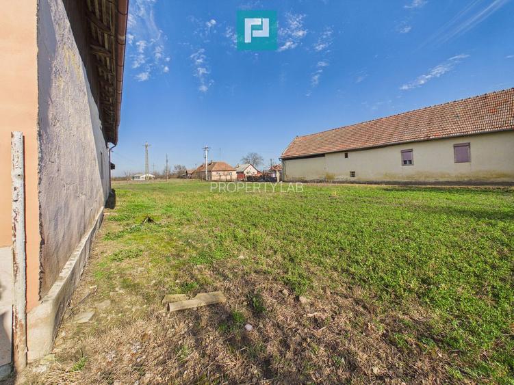 Spațiu comercial de 225 mp în Satu Mare - 14