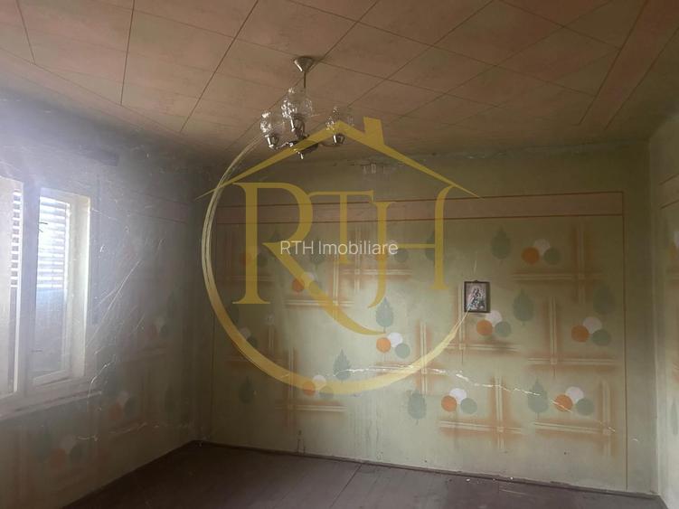 Casa plus teren de vânzare în Balinț,comision ,,0'' - 20