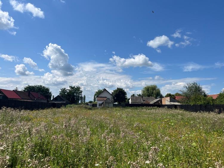 Proprietate UNICA: Casa la rosu cu teren mare si acces la rau - 7