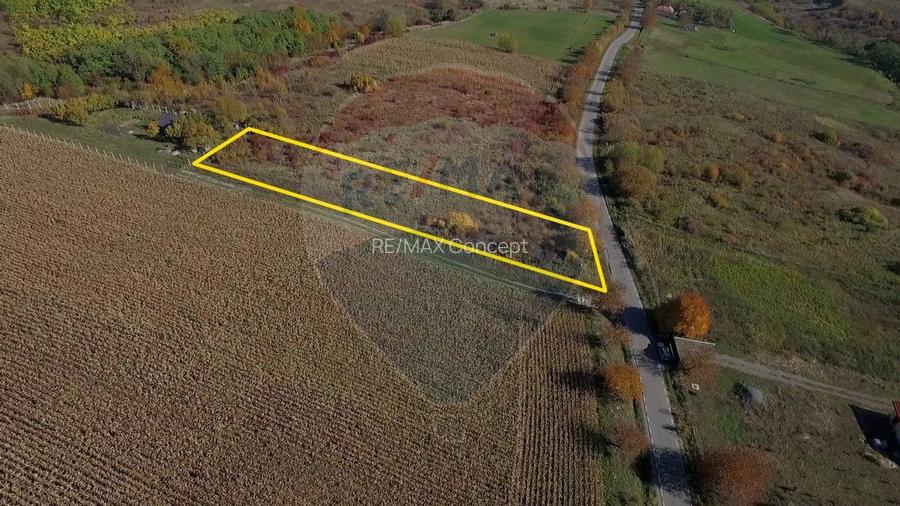 Teren Pădureni (Chinteni), intravilan, parcelabil - 8