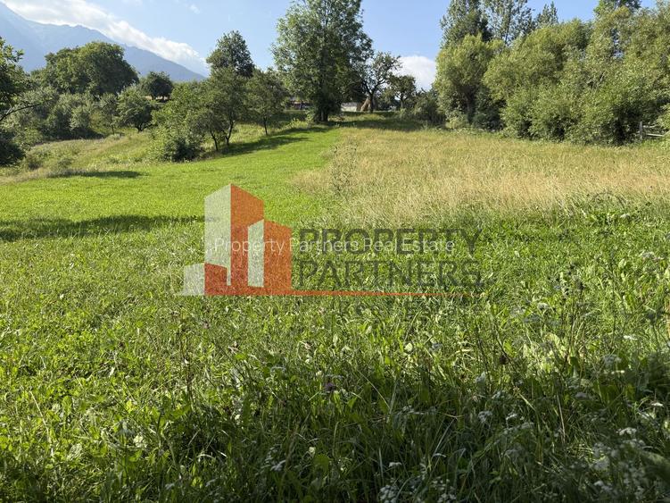 Teren Sohodol 5000 mp - 5