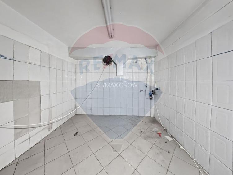 Cladire individuala 243 mp de inchiriat pe strada Mioritei - 5