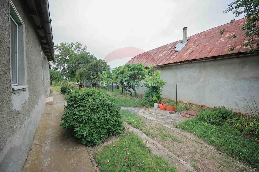 De vânzare casă cu 3 camere și teren 3205 mp în Sânnicolau Român - 2