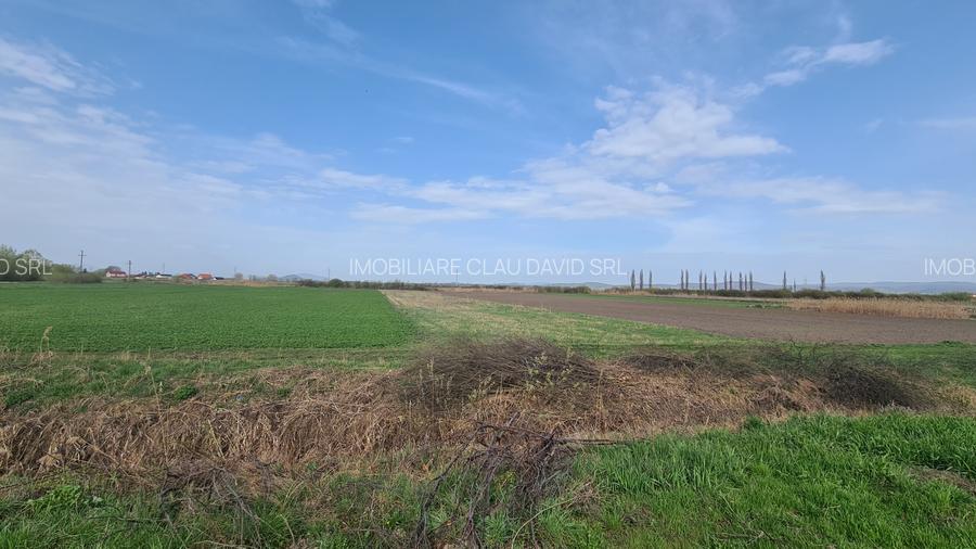 TEREN INTRAVILAN DE 2134 MP CU DRUM PROPRIU ÎN PREJMER – IDEAL PENTRU INVESTIȚIE - 6