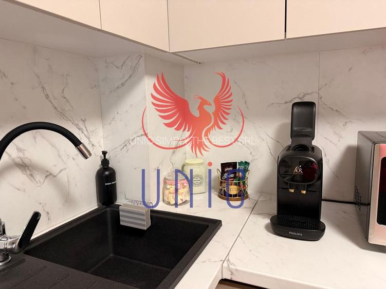 Garsoniera mobilata si utilata, Aristizza Romanescu - 5