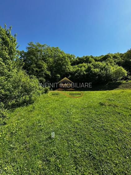 Teren intravilan de vanzare 1439 mp Luncani strada Slatinei - Bacau - 8