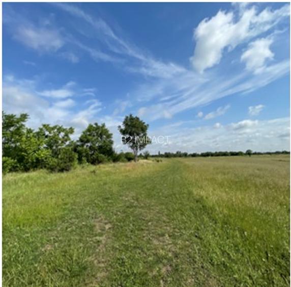 Teren intravilan - 4