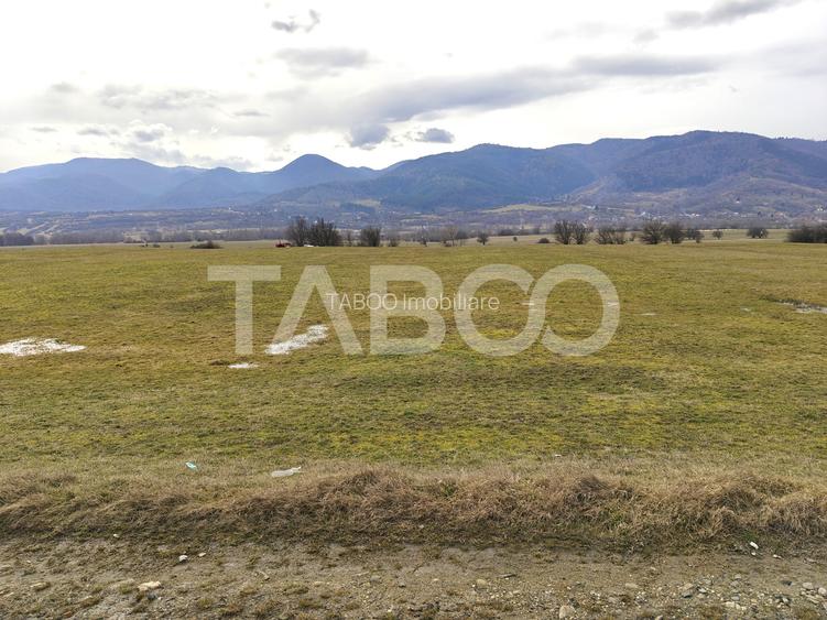 Teren intravilan 10000 mp cu acces din DN 1 - COMISION 0 - 4