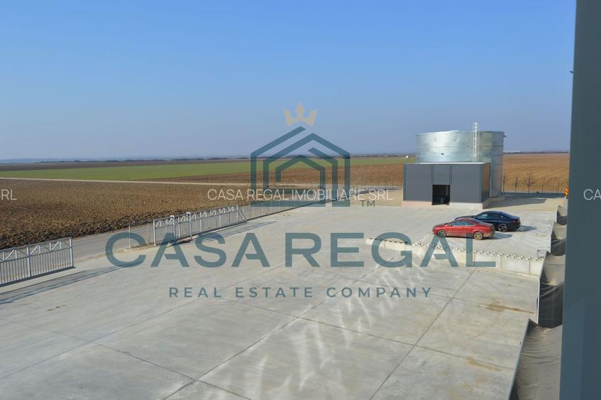 Hală industrială 7100mp – locație strategică - Biharia - zona metropolitană - 17