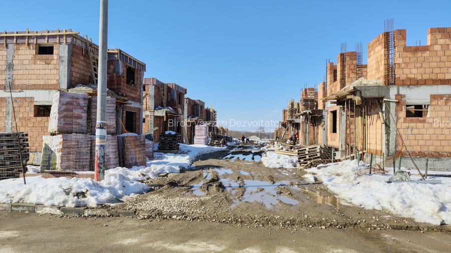 Vile individuale padurea Rosu - 4