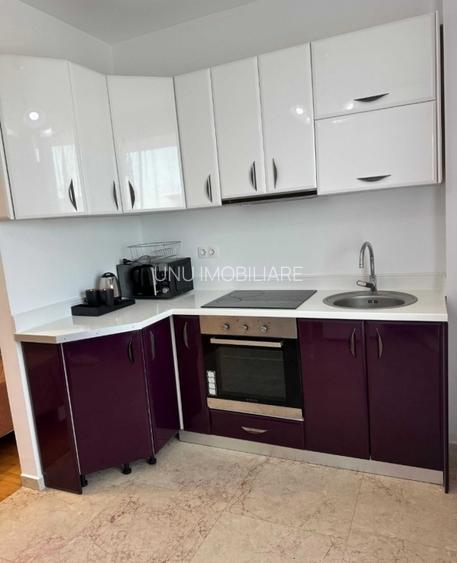 Exclusive Residence-Etaj intermediar-Apartament 1 camera-Copou - 2