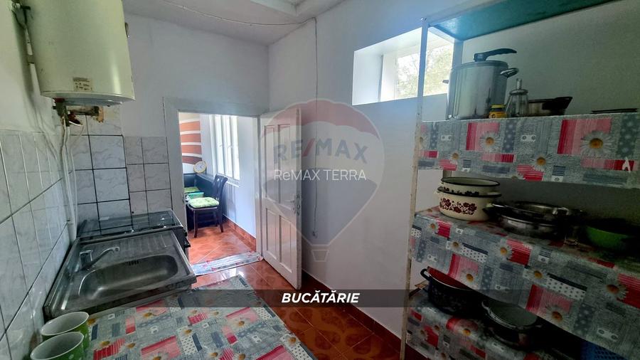 DE VANZARE PROPRIETATE DEOSEBITA LA TARA - 17