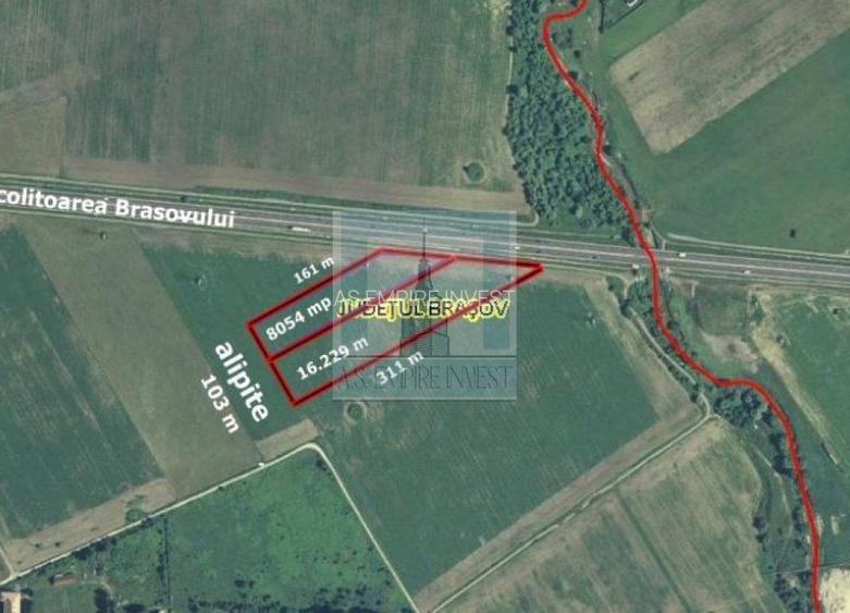 Teren intravilan 2,4 Ha - zona Tractorul (Rulmentul) - 3