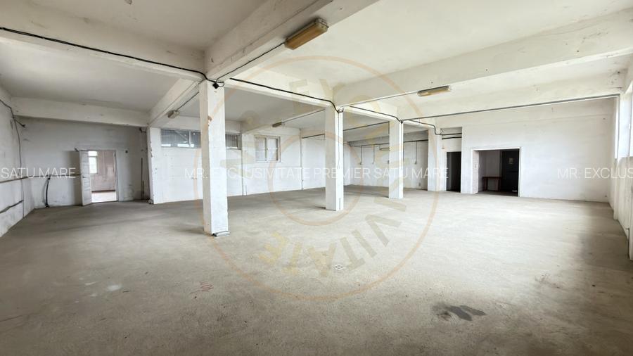 Inchiriere Cladire Productie, Depozitare 278 mp -Teren 1380 mp - Carei  - 3