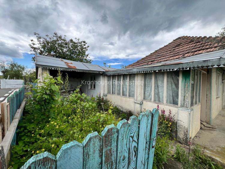 Casa + teren 4430 mp, vie si pomi fructiferi, 22 km de Tecuci - 24