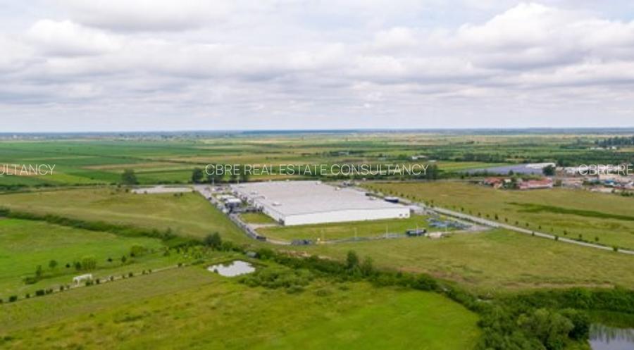 Închiriere Platformă Industrială Majoră în Ineu - 3