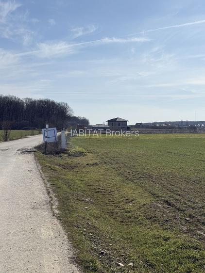 Ciolpani Padurea Snagov - zona Orangerie, Mega Image, Penny - 6