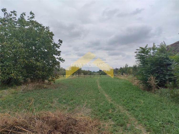 Casa cu teren de vanzare Santana - 3