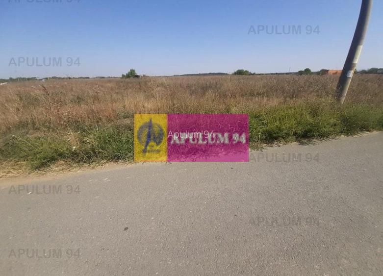 Teren pentru case in 1 Decembrie - 2