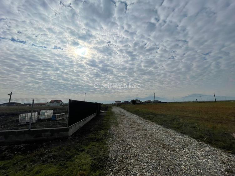 Teren de vanzare Harman - 4