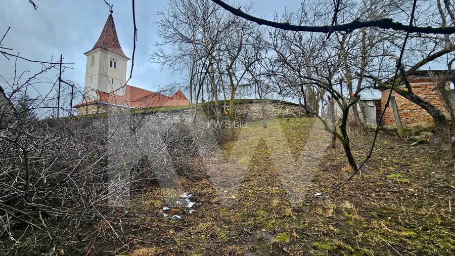 Tradiție și potențial: casă cu șură, utilități complete, Turnu Roșu - 10