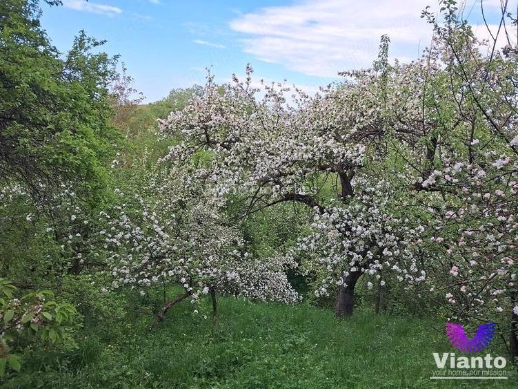 Casă în Poiana Sibiului | 909 mp teren | livadă și anexe gospodărești - 9