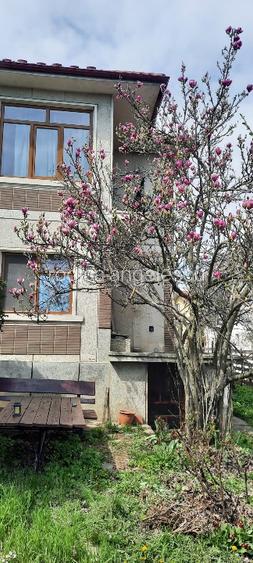 Casa cu teren 1150 mp in Trivale - 2