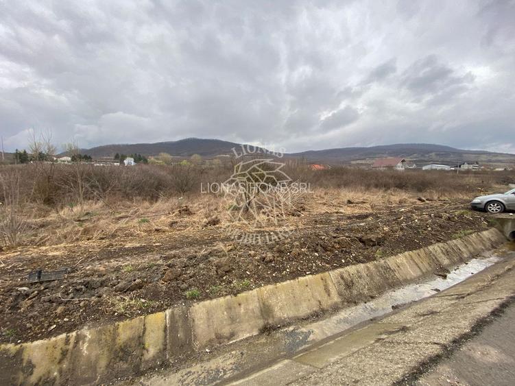 Teren 12,719 mp cu deschidere la DN17-ideal hala/parcare-Crainimat - 5