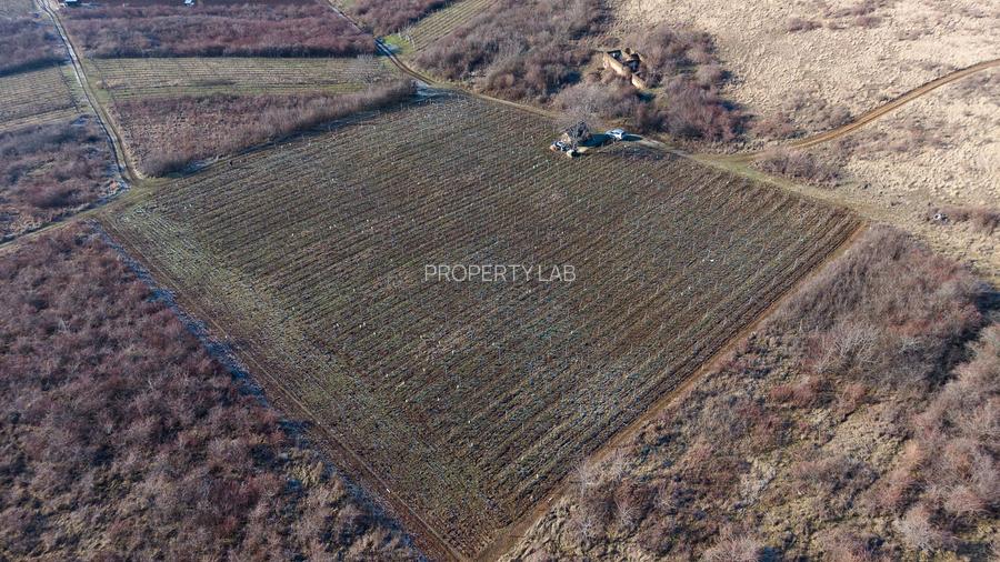 Vita-de-vie Premium  teren de 6800 mp în Covăsinț - 15