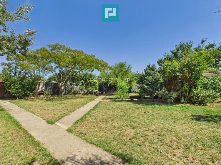 Pensiune la Orțișoara - 53